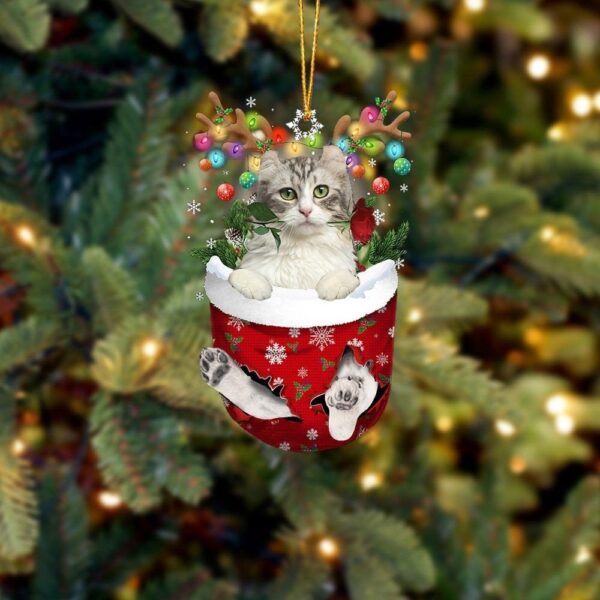 American Curl Cat In Snow Pocket Christmas Ornamentt Hanging Gif