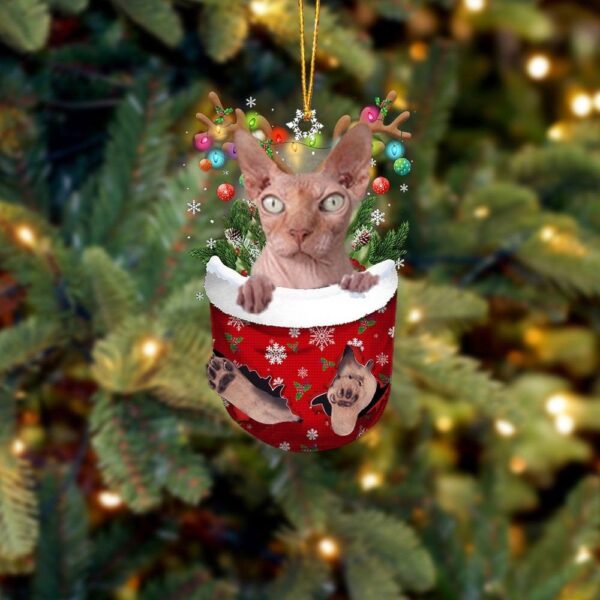 Bambino Cat In Snow Pocket Christmas Ornamentt