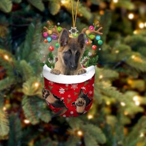 Belgian Tervuren In Snow Pocket…