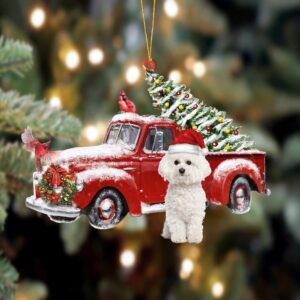 Bichon Frise-Cardinal & Truck Two…