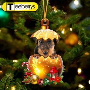 Airedale Terrier In Golden Egg…