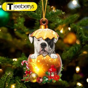 American Bulldog In Golden Egg…