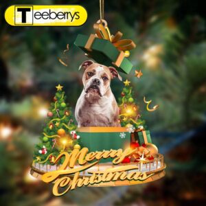 American Bulldog – Merry Christmas…