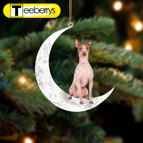 American Hairless Terrier Sit On The Moon Christmas Ornament