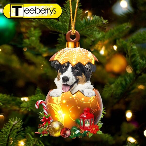 Australian Shepherd In Golden Egg Christmas Ornament – Christmas Gifts 2024