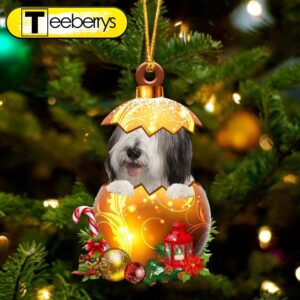 Bearded Collie In Golden Egg…