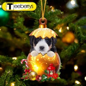 Bernedoodle In Golden Egg Christmas…