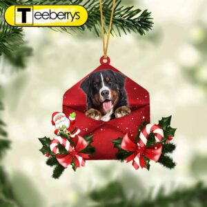 Bernese Mountain Christmas Letter Christmas…