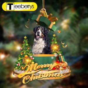 Bernese Mountain – Merry Christmas…