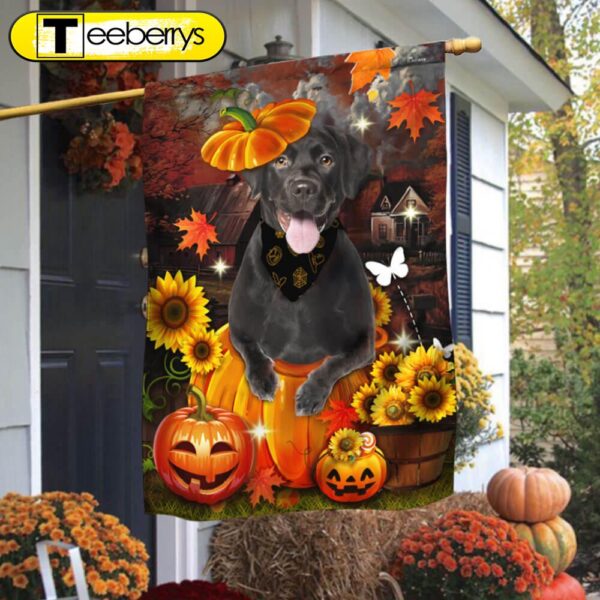 Black Labrador Pumpkin Happy Fall Y’all Flag, Halloween Flag