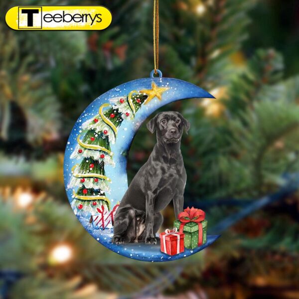 Black Labrador Sit On The Blue Moon-Two Sided Christmas Plastic Hanging Ornament