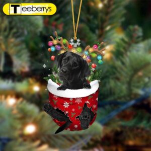 Black Labrador-In Christmas Pocket Two…