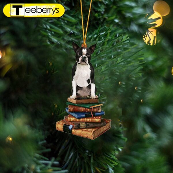 Boston Terrier-Sit On The Book Two Sides Christmas Plastic Hanging Ornament