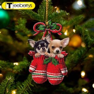 Chihuahuas Inside Your Gloves Christmas…