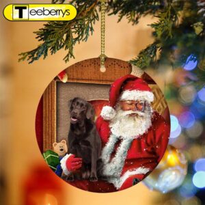 Chocolate Labrador With Santa Christmas…