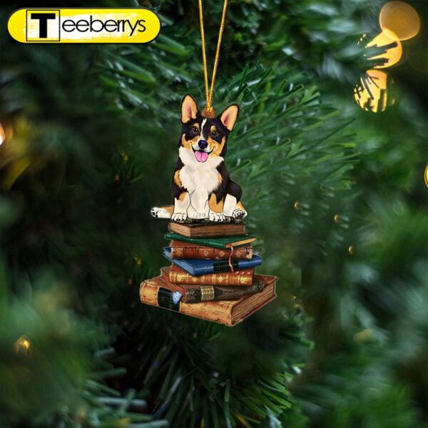 Corgi Sit On The Book Two Sides Christmas Plastic Hanging Ornament