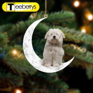 Coton De Tulear Sit On…