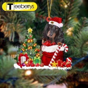 Dachshund Gift Bag Merry Christmas…