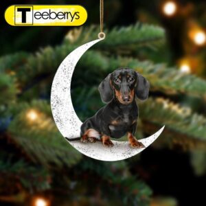 Dachshund Sit On The Moon…