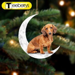 Dachshund Sit On The Moon…