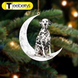 Dalmatian Sit On The Moon…