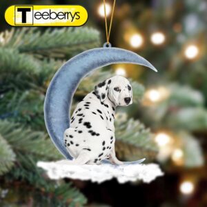 Dalmatian Sits On The Moon…