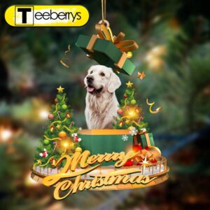 Golden Retriever Mars – Merry…