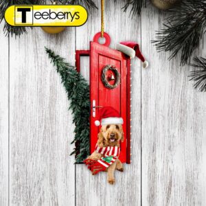 Goldendoodle Sits By The Red Door Decorated With Christmas Tree Christmas Ornament