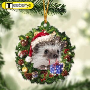 Hedgehog And Christmas Gift For…