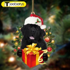 Newfoundland Dogs Give Gifts Hanging…