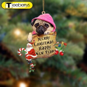 Pug Christams & New Year…