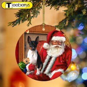 Rat Terrier With Santa Christmas…