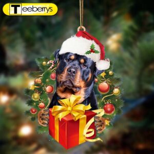 Rottweiler-Dogs Give Gifts Hanging Christmas…