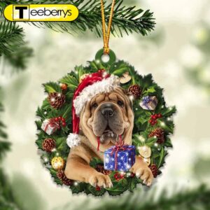 Shar Pei And Christmas Gift…