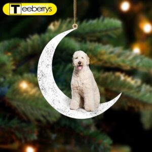 White Labradoodle-Sit On The Moon…