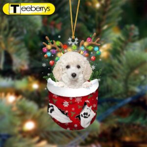 White Toy Poodle-In Christmas Pocket…